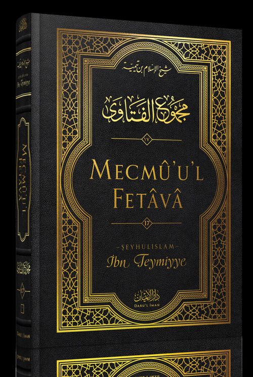 Mecmûu'l-Fetava (17. Cilt)