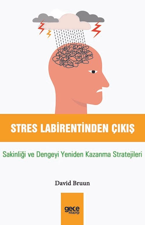 Stres Labirentinden Çıkış & Sakinliği ve Dengeyi Yeniden Kazanma Stratejileri