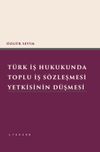 T&uuml;rk İş Hukukunda Toplu İş S&ouml;zleşmesi Yetkisinin D&uuml;şmesi