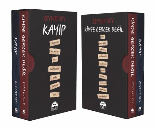 Yaralı Şifacı Serisi (Karton Kapak)