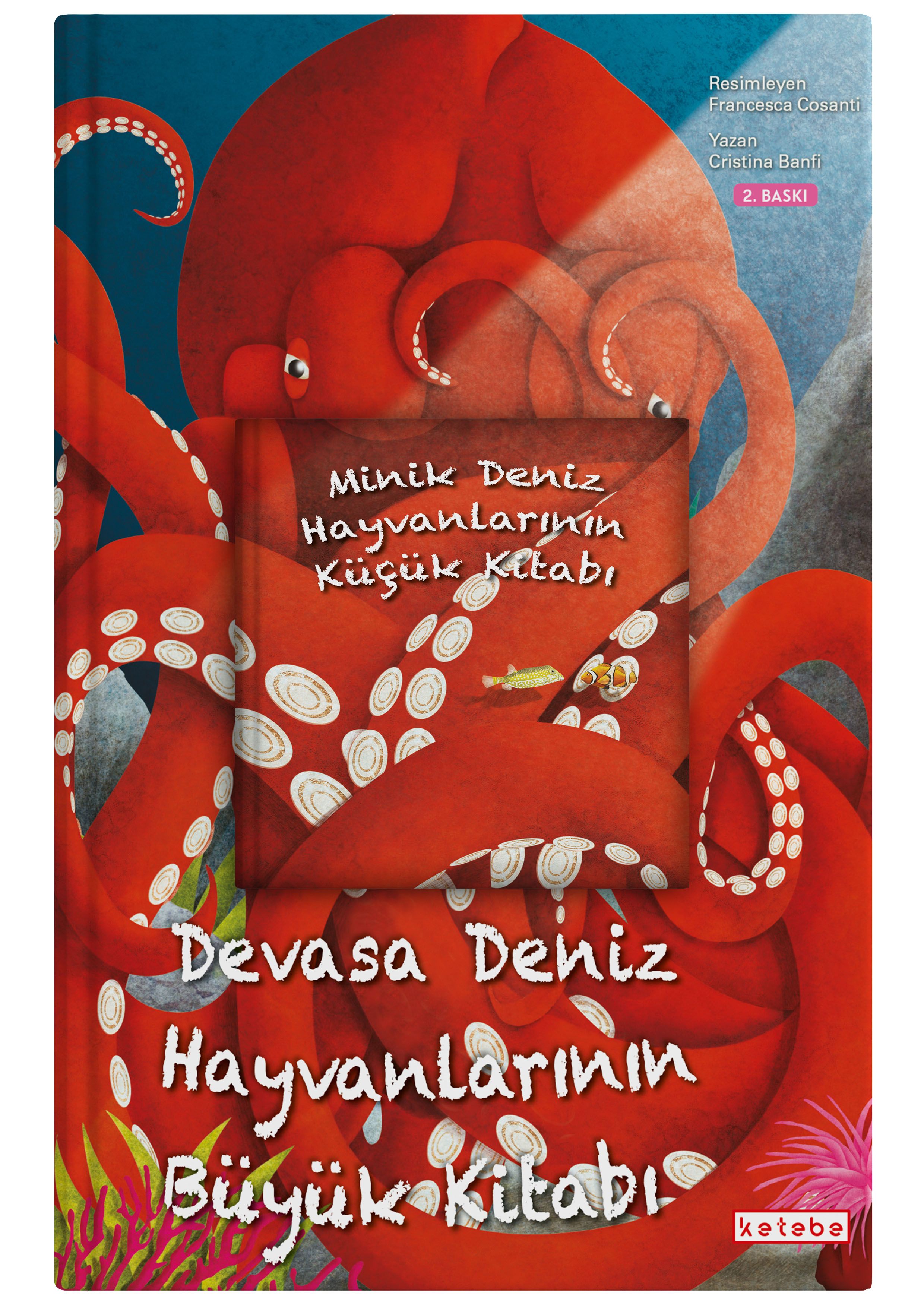 Devasa Deniz Hayvanlarının Büyük Kitabı - Minik Deniz