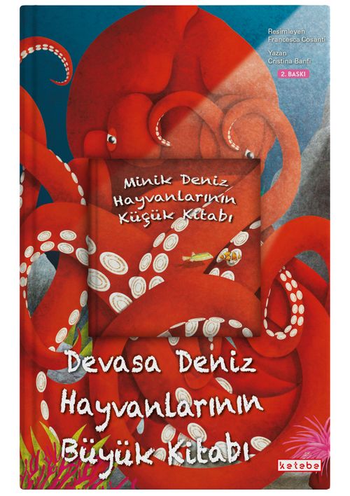 Devasa Deniz Hayvanlarının Büyük Kitabı & Minik Deniz Hayvanlarının Küçük Kitabı 
