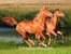 Atlar Ahşap Puzzle 204 Parça (HV01-CC)</span>