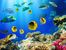 Tropikal Balıklar Ahşap Puzzle 204 Parça (HV03-CC)</span>