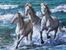 Deniz Kenarında Atlar Ahşap Puzzle 204 Parça (HV07-CC)</span>