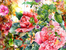 Çiçek Bahçesi Detay Ahşap Puzzle 108 Parça (DG04-C)</span>