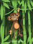Bambu Ormanında Maymun Ahşap Puzzle 204 Parça (CK02-CC)</span>