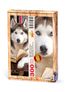 Kitap Okuyan Husky Ahşap Puzzle 300 Parça (KT01-CCC)