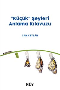 Küçük Şeyleri Anlama Kılavuzu 