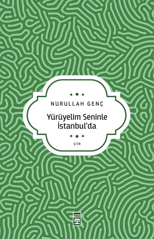 Yürüyelim Seninle İstanbul'da