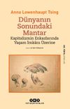 D&uuml;nyanın Sonundaki Mantar & Kapitalizmin Enkazlarında Yaşam İmkanı &Uuml;zerine