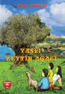 Yaşlı Zeytin Ağacı