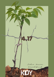 4.17 