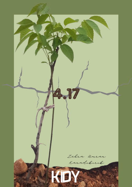 4.17 