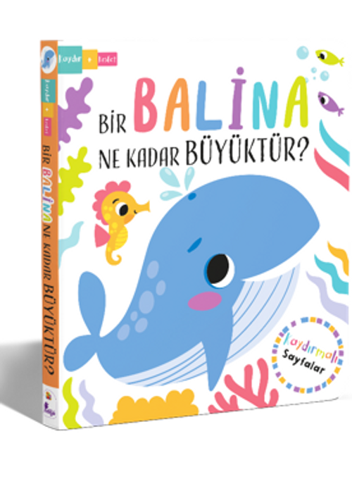 Bir Balina Ne Kadar Büyüktür? – Kaydır + Keşfet