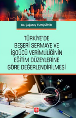 Türkiye'de Beşeri Sermaye ve İşgücü Verimliliğinin Eğitim Düzeylerine Göre Değerlendirilmesi