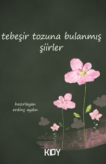 Tebeşir Tozuna Bulanmış Şiirler