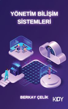Yönetim Bilişim Sistemleri 
