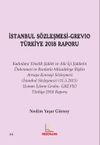 İstanbul S&ouml;zleşmesi-Grevıo T&uuml;rkiye 2018 Raporu