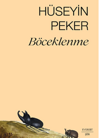 Böceklenme