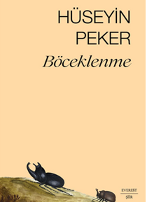 Böceklenme