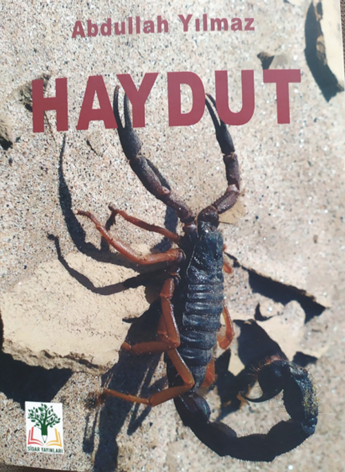 Haydut