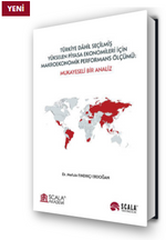 Türkiye Dahil Seçilmiş Yükselen Piyasa Ekonomileri İçin Makroekonomik Performans Ölçümü