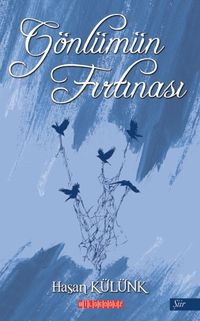 Gönlümün Fırtınası