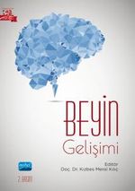 Beyin Gelişimi