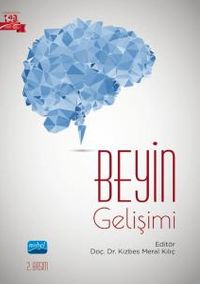 Beyin Gelişimi