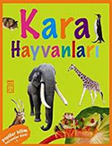 Kara Hayvanları / Hayvanlar Dizisi