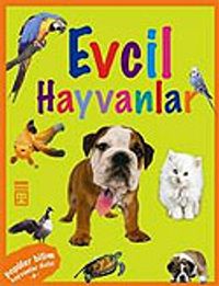 Evcil Hayvanlar / Hayvanlar Dizisi