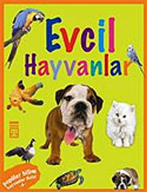 Evcil Hayvanlar / Hayvanlar Dizisi