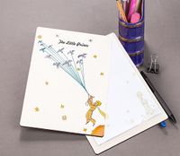 Bookinzi Eskiz Duraliti - A5 - The Little Prince - Flying With Birds (BK-KP-014)