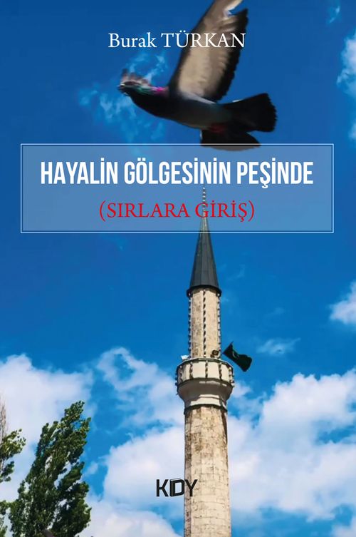 Hayalin Gölgesinin Peşinde 