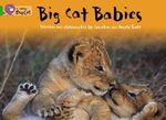 Big Cat Babies (Big Cat 5 Green)