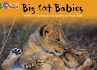 Big Cat Babies (Big Cat 5 Green)