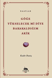 Göğe Yükselecek Mi Diye Bakakaldığım Akik & Naatlar