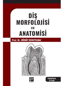 Diş Morfolojisi ve Anatomisi