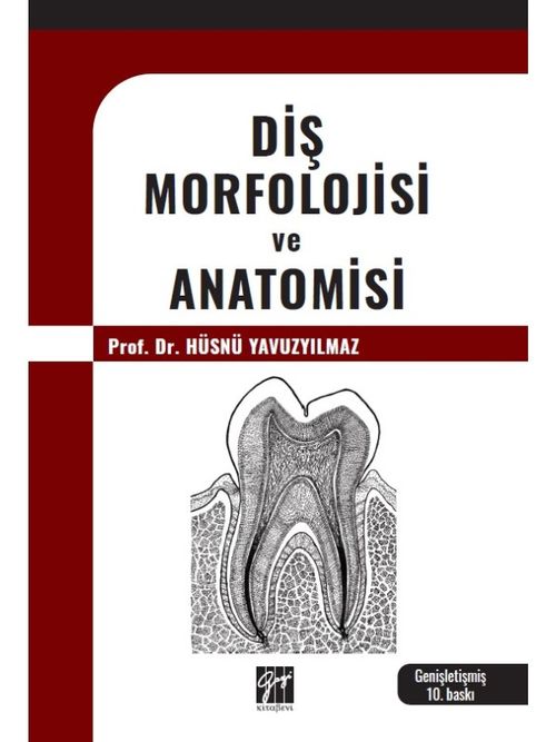 Diş Morfolojisi ve Anatomisi