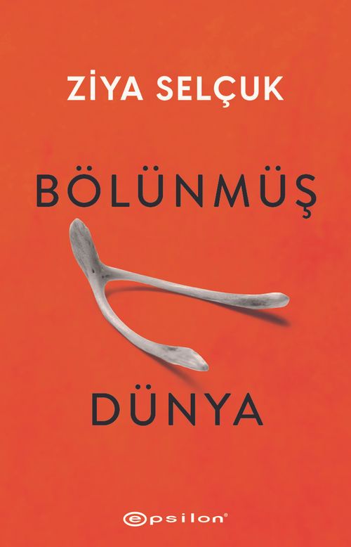 Bölünmüş Dünya