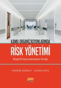 Kamu Organizasyonlarında Risk Yönetimi & Bingöl İli Kamu Hastaneleri Örneği