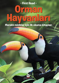 Orman Hayvanları / Meraklı Minikler