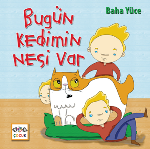 Bugün Kedimin Nesi Var