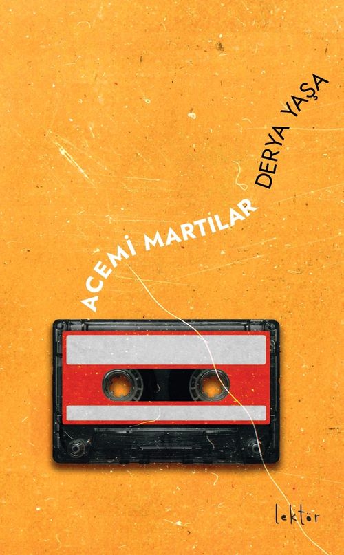 Acemi Martılar