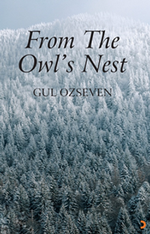 From The Owl's Nest 