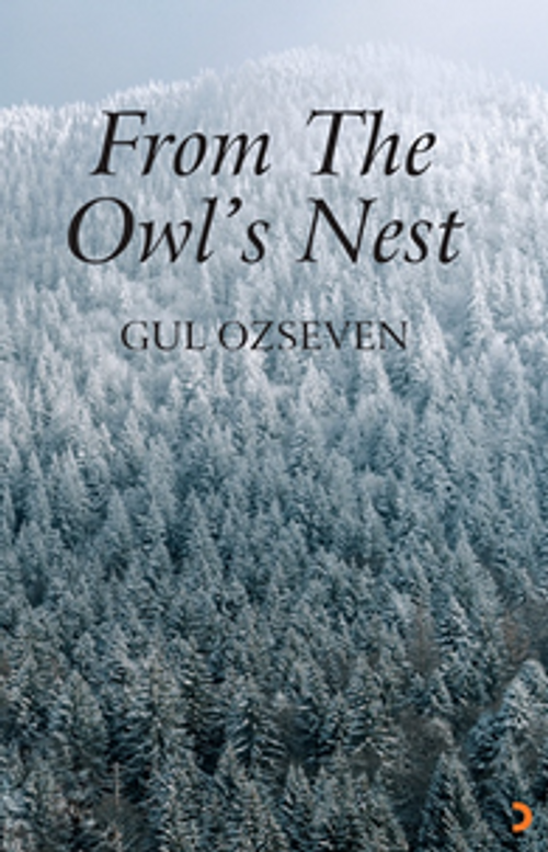 From The Owl's Nest 