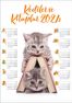 2024 Takvimli Poster - Kediler ve Kitaplar - Kitap Ev