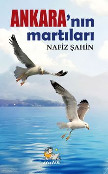 Ankara'nın Martıları