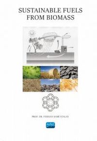 Sustainable Fuels From Biomass